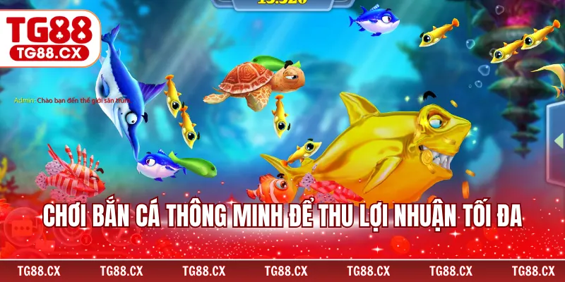 Chơi bắn cá thông minh để thu lợi nhuận tối đa