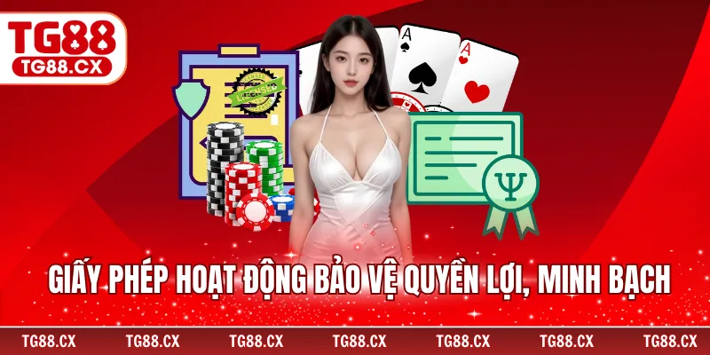 Giấy phép hoạt động bảo vệ quyền lợi, minh bạch