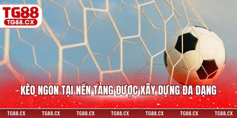 Kèo ngon tại nền tảng được xây dựng đa dạng