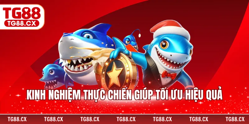 Kinh nghiệm thực chiến giúp tối ưu hiệu quả