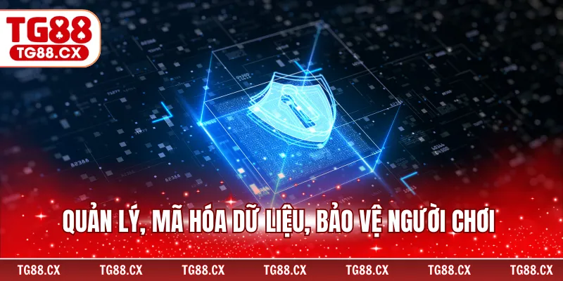 Quản lý, mã hóa dữ liệu, bảo vệ người chơi
