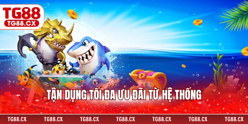 Tận dụng tối đa ưu đãi từ hệ thống