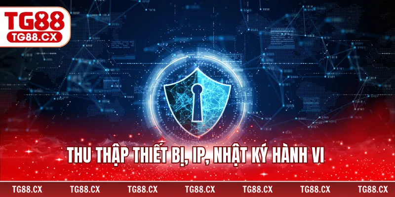 Thu thập thiết bị, IP, nhật ký hành vi